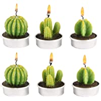 CHSG 6 Piezas Velas De Candelita De Cactus- Lindas Mini- Creativa De Plantas Suculentas- Hechas A Mano Delicadas Sin…